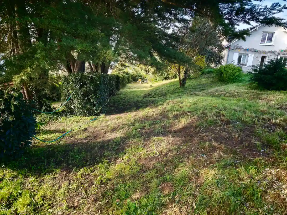 Botaneo Paysagiste Mareuil Sur Lay Dissais Botaneo 1 2