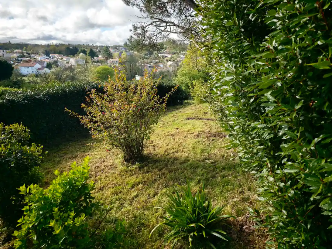 Botaneo Paysagiste Mareuil Sur Lay Dissais Botaneo 3